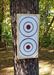 KNIFE THROWING TARGET - Double Sided - POLYETHYLENE - 23 1/4 x 11 1/2 x 2 Only $74.99